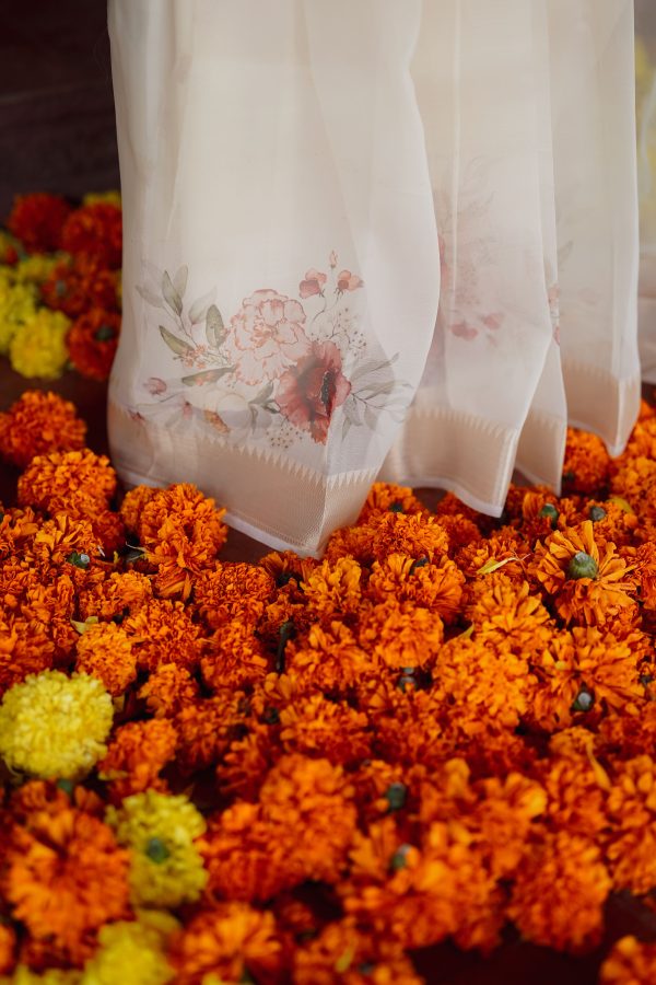 Organza Polka Dotted Saree