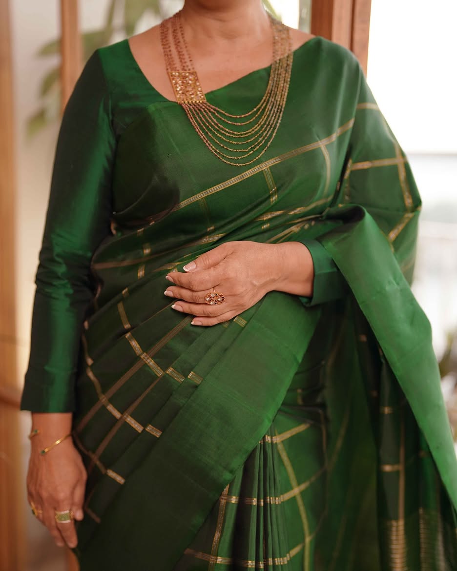 Vintage Kanchipuram with Belthari Checks