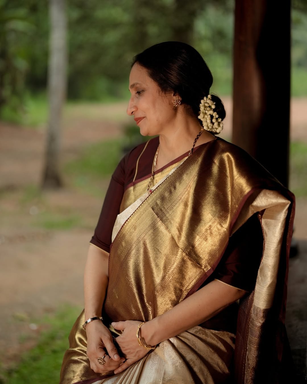 Mocha Contrast Saree